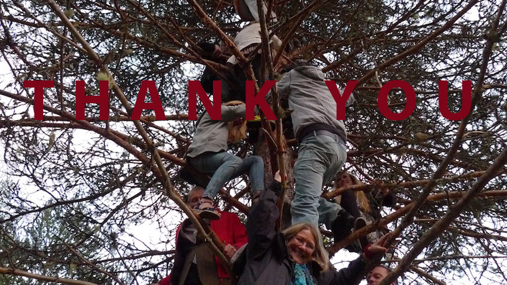 Art of Climbing Trees - thank you 08