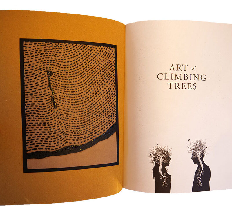 Art of Climbing Trees (Beta) Limited Edition 1/444