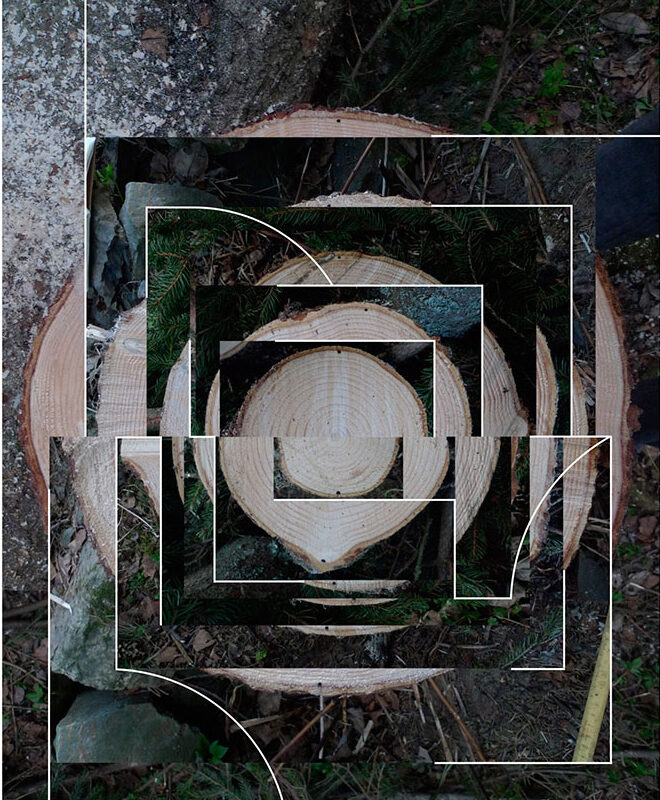 Falling Tree Prep. Derivative. 2025