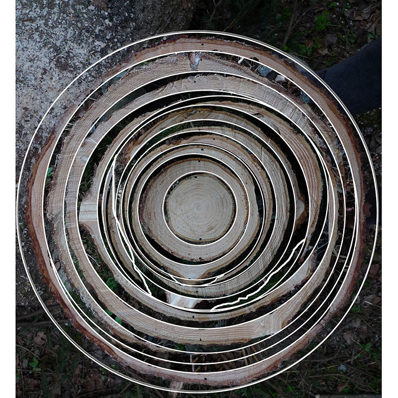 Falling Tree Prep 2011