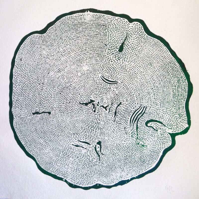 Queen of the Forest - Forest. 2022.