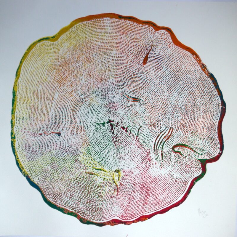 Queen of the Forest - Holi 04. 2023