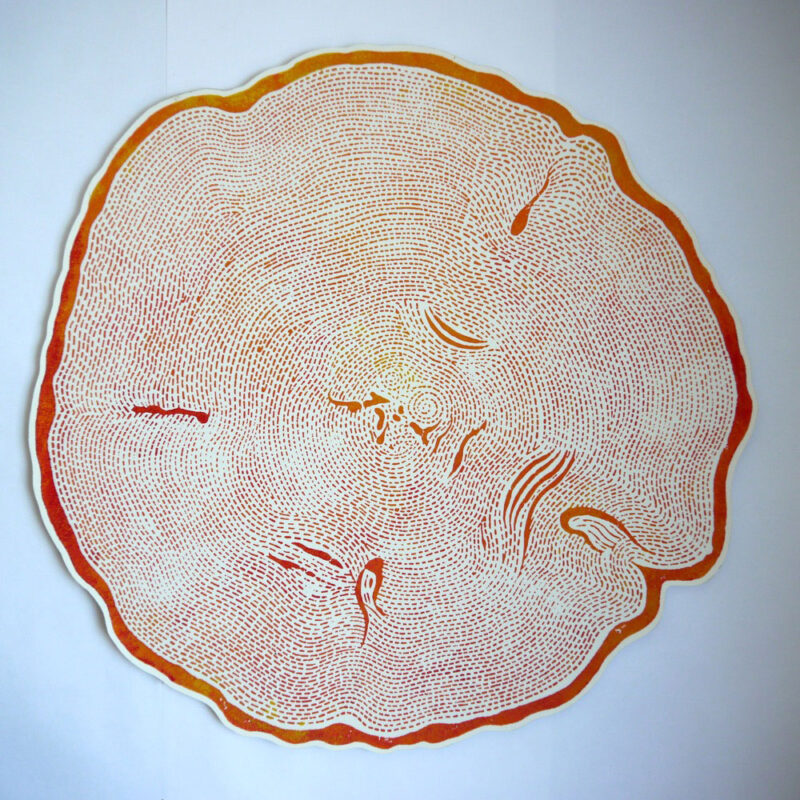 Queen of the Forest - Sun. 2023.