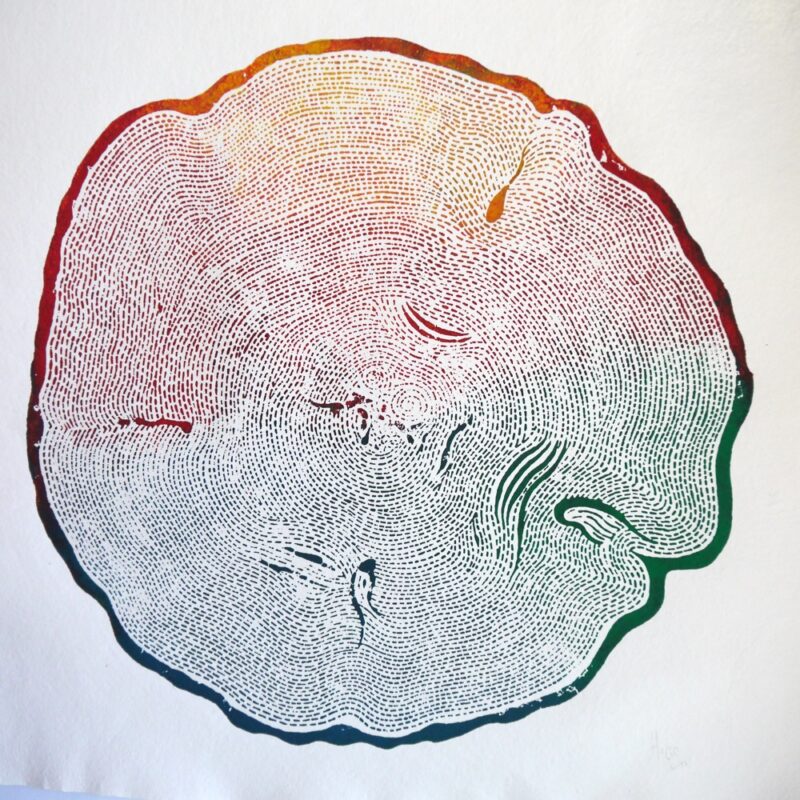 Queen of the Forest - Holi 04. 2022