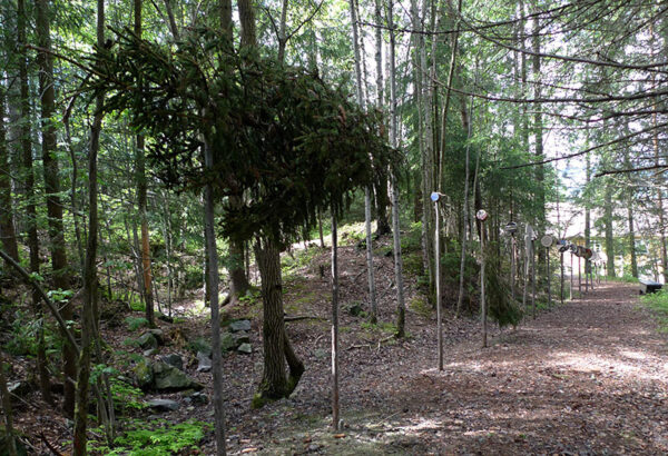 Falling Tree Prep 2011 - Image 4