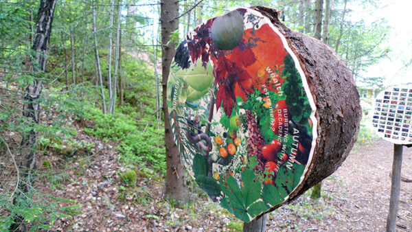 Falling Tree Prep 2011 - Image 7